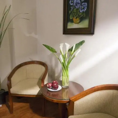 Aristo Saigon Hotel 4* Номер Делюкс с различными типами кроватей фото 6