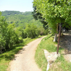 Отель Casa Al Bosco Реггелло фото 12