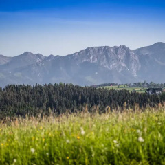 Отель Pensjonat Góralska Chata Закопане фото 3