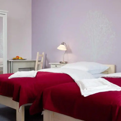 Отель Cilantro Bed & Breakfast 3* Стандартный номер фото 4