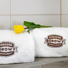 Отель Ośrodek Wypoczynkowy Borowy Польша, Бялы-Дунаец - отзывы, цены и фото номеров - забронировать отель Ośrodek Wypoczynkowy Borowy онлайн ванная