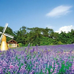 Отель Tianyuan Muge Ecological Resort бассейн фото 2