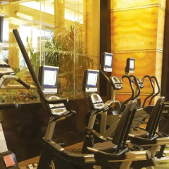 Отель Chateau Star River Guangzhou фитнесс-зал фото 2