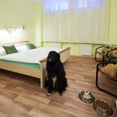 Hotel Rehavital Яблонец-над-Нисой с домашними животными