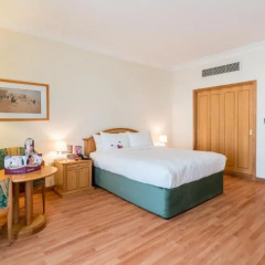 Отель Crowne Plaza Abu Dhabi 5* Стандартный номер с различными типами кроватей фото 3
