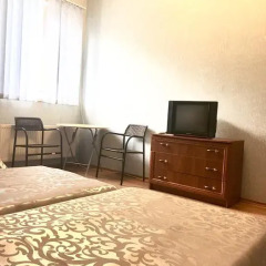 Гостевой дом Вилари 3* Стандартный номер с разными типами кроватей (общая ванная комната) фото 21