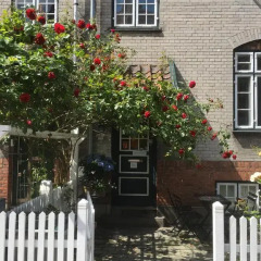 Отель Engelsted Guesthouse Дания, Копенгаген - отзывы, цены и фото номеров - забронировать отель Engelsted Guesthouse онлайн фото 2