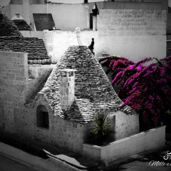 Отель Trulli Mille e una Notte Альберобелло
