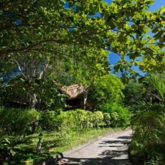 Отель Koh Tao Royal Resort 3* Бунгало с различными типами кроватей фото 8