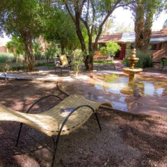 Отель Ecolodge - La Palmeraie Марокко, Уарзазат - отзывы, цены и фото номеров - забронировать отель Ecolodge - La Palmeraie онлайн фото 8