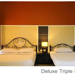 Отель Rambuttri Village Inn & Plaza 3* Номер Делюкс с различными типами кроватей фото 4