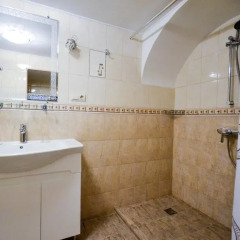 Гостиница Эрмитаж 3* Стандартный номер с разными типами кроватей фото 7