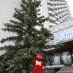 Гостиница Балтиец в Санкт-Петербурге отзывы, цены и фото номеров - забронировать гостиницу Балтиец онлайн Санкт-Петербург городской автобус