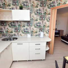 Апартаменты Apartments on Peterburgskaya Street в номере