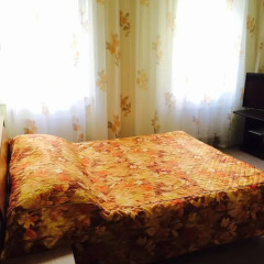 Гостиница Guest House Briz в Приморье 4 отзыва об отеле, цены и фото номеров - забронировать гостиницу Guest House Briz онлайн комната для гостей фото 5