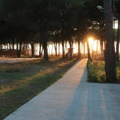 Отель Villa Sun