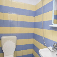Family Hotel Bohemi Номер категории Эконом фото 5