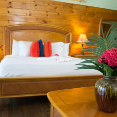 Отель The Westender Inn 3* Люкс с различными типами кроватей фото 15