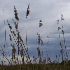 Отель Murmuļmuiža пляж
