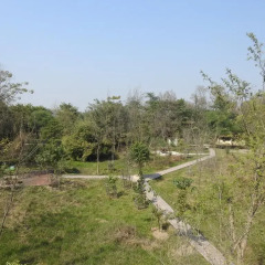 Отель Lumbini Buddha Garden Resort Непал, Лумбини - отзывы, цены и фото номеров - забронировать отель Lumbini Buddha Garden Resort онлайн приотельная территория