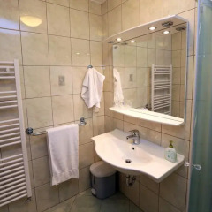 Отель Gasperin Bohinj 3* Стандартный номер с различными типами кроватей фото 18