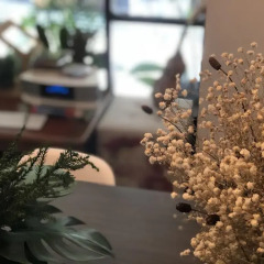 Отель Cooper