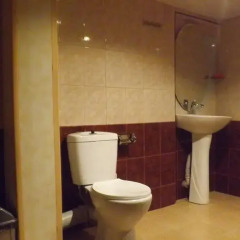 Отель Bari House in Tsaghkadzor 5 ванная