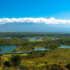 Отель Nature Homes - Africa Amini Life