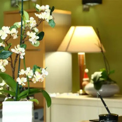 Отель Hôtel Restaurant Maison Blanche удобства в номере фото 2