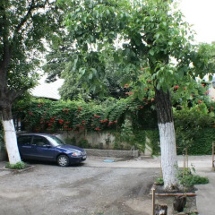 Отель Guest House Chubini Стандартный номер с разными типами кроватей фото 11