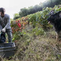 Отель Quinta de Marrocos Португалия, Ламего - отзывы, цены и фото номеров - забронировать отель Quinta de Marrocos онлайн приотельная территория фото 2