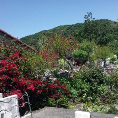 Отель Izukogen Onsen J Garden Ито фото 13