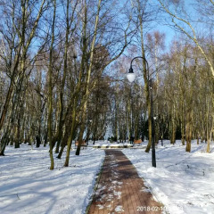 Гостиница на Ленина в Светлогорске отзывы, цены и фото номеров - забронировать гостиницу на Ленина онлайн Светлогорск спортивное сооружение