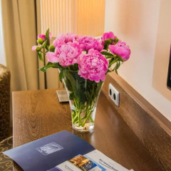 Hotel Admiral am Kurpark 4* Стандартный номер с различными типами кроватей фото 2