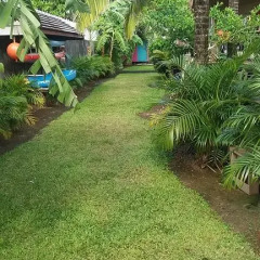 Отель Guest Beach Bungalow Tahiti фото 6