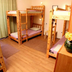 Hostel and Apartments Skadarlija Sunrise Стандартный номер с различными типами кроватей фото 10