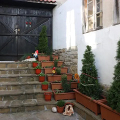 Отель Guest House Divna Велико Тырново развлечения