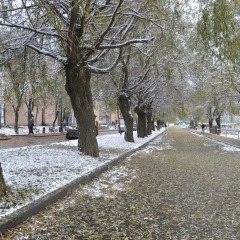 Hotel Lori on Tumanyan пляж