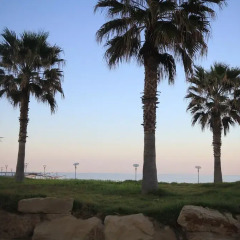 Отель Fig Tree Bay Apartments Кипр, Протарас - отзывы, цены и фото номеров - забронировать отель Fig Tree Bay Apartments онлайн пляж фото 2
