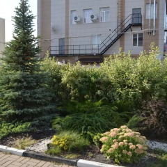 Гостиница Complex Mir в Белгороде 6 отзывов об отеле, цены и фото номеров - забронировать гостиницу Complex Mir онлайн Белгород фото 2