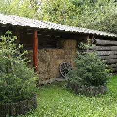 Гостиница Medvezhya Berloga фото 12
