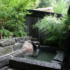 Отель Kurokawa Onsen Oku no Yu Минамиогуни бассейн фото 3