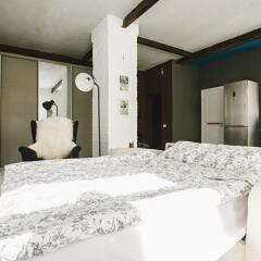 Гостиница Spacious Loft na Sovetskoy Апартаменты разные типы кроватей фото 24