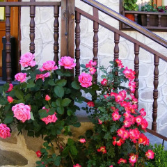 Отель Todeva House фото 11