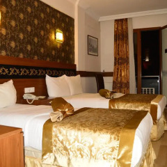 Bern Hotel 3* Стандартный номер с различными типами кроватей фото 2