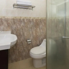 Royal Q&D Suites Hotel 3* Номер Делюкс с различными типами кроватей фото 7
