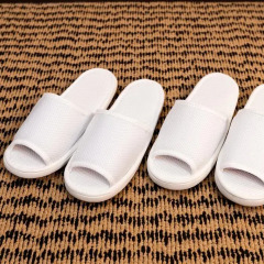 Отель Sotetsu Fresa Inn Tokyo-Akasaka с домашними животными