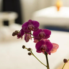 CDH Hotel Milano Niguarda 4* Улучшенный номер с различными типами кроватей фото 6