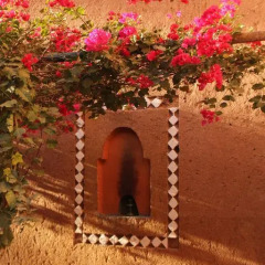 Отель Riad Dar Zaouia Марокко, Загора - отзывы, цены и фото номеров - забронировать отель Riad Dar Zaouia онлайн фото 12