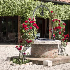 Отель Agriturismo Santa Barbara Италия, Мира - отзывы, цены и фото номеров - забронировать отель Agriturismo Santa Barbara онлайн фото 6